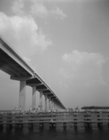 Apalachicola Bridge