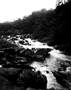 Braan River, Perthshire