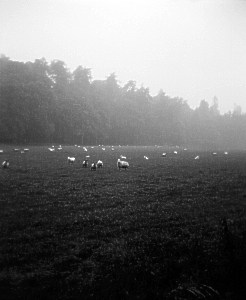 Dunkeld, Perthshire