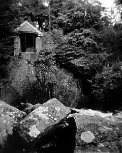 The Hermitage, Perthshire