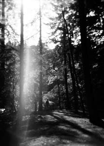 Near Inver, Perthshire