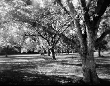 Long Pond, GA