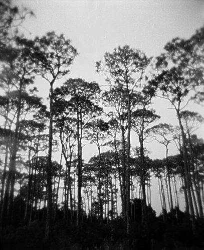 St. George Island