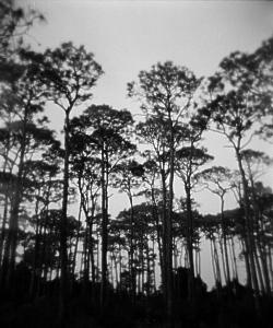 St. George Island
