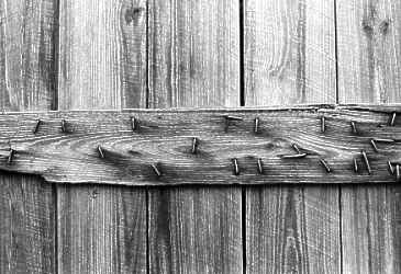 Wall
